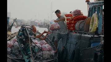 Rồng Cần Thơ "Sống Lớn"