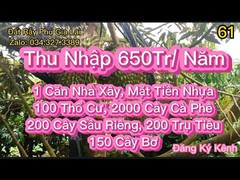 Video MT Nhựa 100 Thổ Cư, 1 Căn Nhà Xây, 2000 Cây Cà Phê,... - youtube