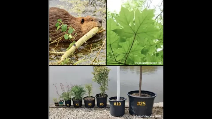 Ecological Restoration - NV Presentation by Cassan...