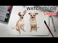 Sketch dogs with watercolor painting 
