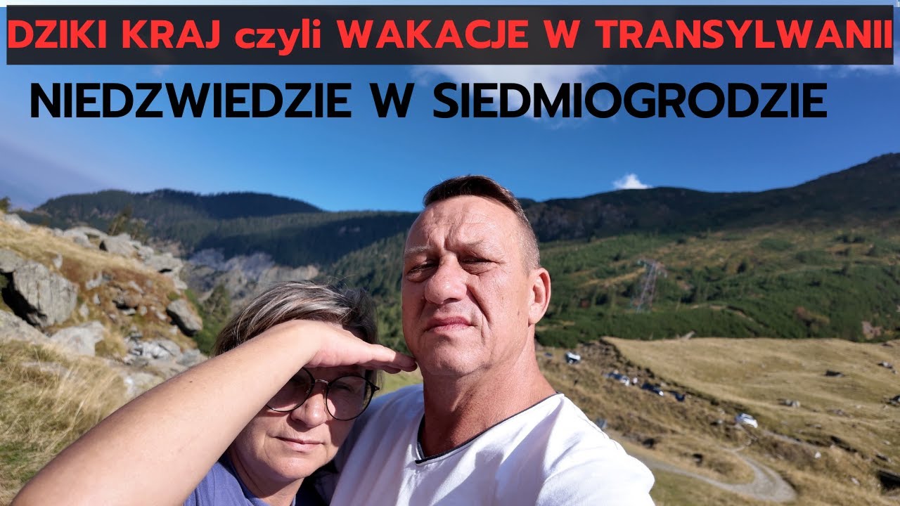 Transylwania Camperem: Niezapomniane Spotkanie z Niedźwiedziem!!!