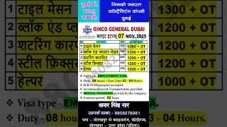 दुबई की टॉप कंपनी :- जिनको जनरल दुबई | Ginco General Company Dubai | Client Interview #dubai_jobs