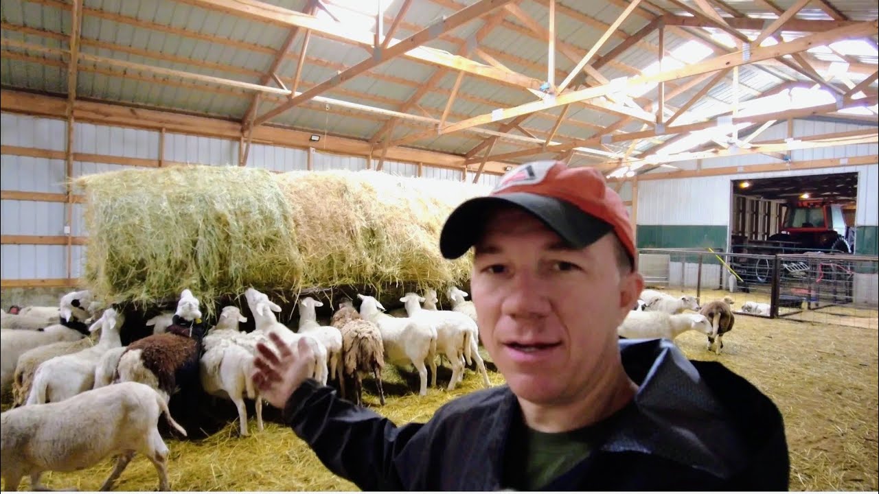 Может ли изготовленная на заказ кормушка для сена сократить отходы сена и сэкономить деньги?