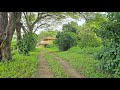🌿FAZENDA 130 HECTARES A VENDA REGIÃO GOVERNADOR VALADARES🌿 