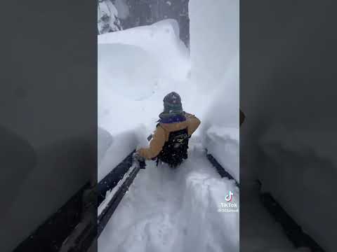 Video: Syksy Lake Tahoessa: Sää- ja tapahtumaopas