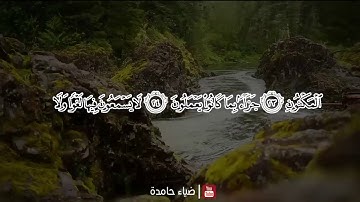 "والسابقون السابقون " آيات من سورة الواقعة | ضياء حامدة