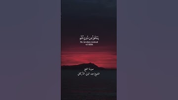 القارئ الشيخ عبد الولي الأركاني