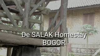 Penginapan Murah Meriah Di Tengah Sawah | De Salak Homestay | Bogor