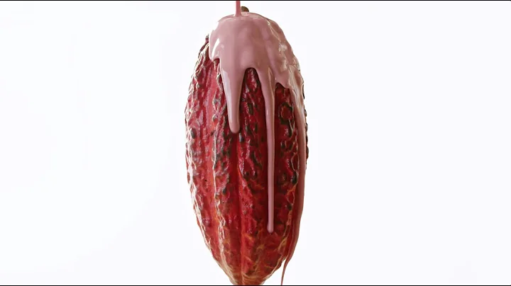 Ruby Chocolate: 1st Anniversary | Barry Callebaut