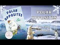 🌎🐠‍❠️POLAR OPPOSITES🐠🌎Winter Read Aloud Book For Kids 🌎🐠‍❠️POLAR OPPOSITES🐠🌎Winter Read Aloud Book For Kids