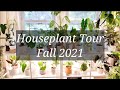 Houseplant Tour,  Fall 2021