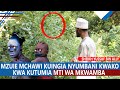 MZUIE MCHAWI KWA KUTUMIA MTI WA MKWAMBA SHEIKH YUSSUF BIN ALLY MZUIE MCHAWI KWA KUTUMIA MTI WA MKWAMBA SHEIKH YUSSUF BIN ALLY