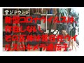 新型コロナウイルスは、存在しない。その正体は常在性ウイルスのキメラ遺伝子。