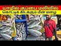 யாழில் குப்பை மலிவில் கொட்டிக் கிடக்கும் மீன்கள் | Jaffna Road site fish market| Srilanka Tamil Vlog