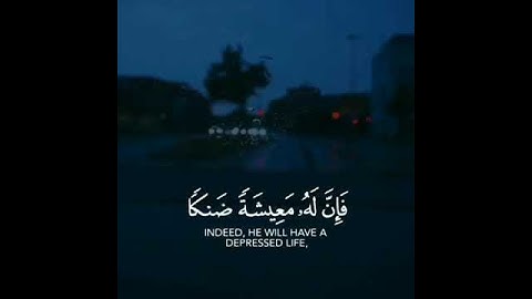 القارئ احمد الشافعي (سورة طه)