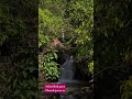 Thandi thandi Jarne #Naina Ruk gaye #Chill #nature
