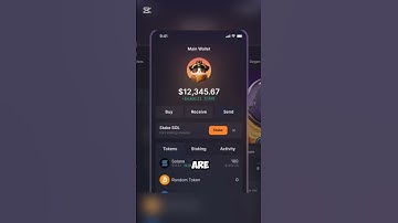 5 SOLANA Wallets You NEED To Get Started!