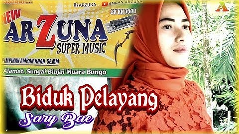 Lagu Jambi - Biduk Pelayang - cift. Radinal - voc. Sary Bae - Official Video Music Amran Arzuna