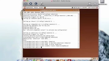 Setup SVN Ubuntu