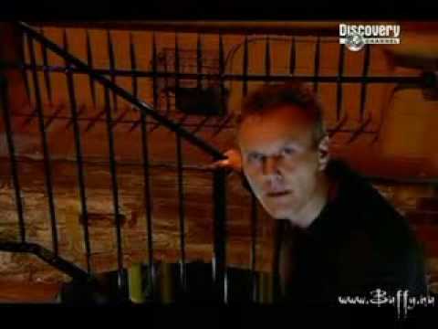 anthony stewart head true horror 101 vampires 1