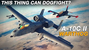A-10 Warthog Thunderbolt II Vs MB-339 Aermacchi Dogfight | Digital Combat Simulator | DCS |