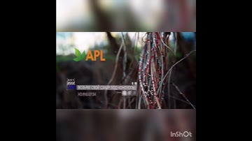 Победа над сахаром NRM