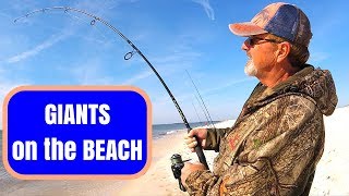 Catching GIANTS on the BEACH - Surf Fishing Goes CRAZY