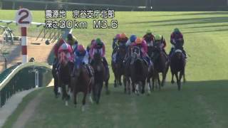 第53回  有馬記念   優勝馬パネル ダイワスカーレット ダイワスカーレット｜名馬メモリアル｜競馬情報ならJRA-VAN