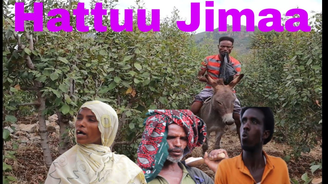 Diraamaa Baadiyyaa Comedy (Hattuu Jimaa )Dawwadhaa