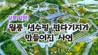 ※1분 요약※ 월룽 션수핑 판다기지가 만들어진 사연!