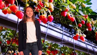 How agrirobotics will change the food you eat | Katherine James | TEDxBrayfordPool