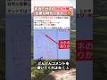 ㊗️15万再生‼️各自でガチの防犯対策が必要な時代へ突入…😣 #政治 #政治ニュース #時事ネタ
