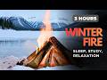 Campfire In Snow 4K Drift Off To Crackling Fire Campfire In Snow 4K Drift Off To Crackling Fire