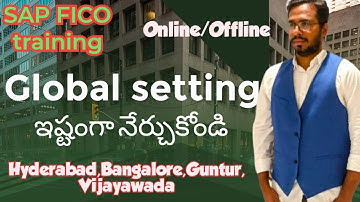 Global setting overview in Telugu||SAP FICO training in Telugu||#Chanu sk||Global setting in Telugu