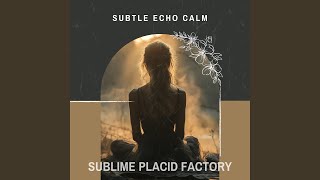 Subtle Echo Calm (Rainfall Relaxing Noise)