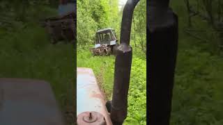 Хутора давно нет а дуб все стоит #леснойскобарь #лес #коп #2024 #metaldetecting