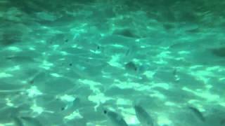 Son Xoriguer (Menorca)