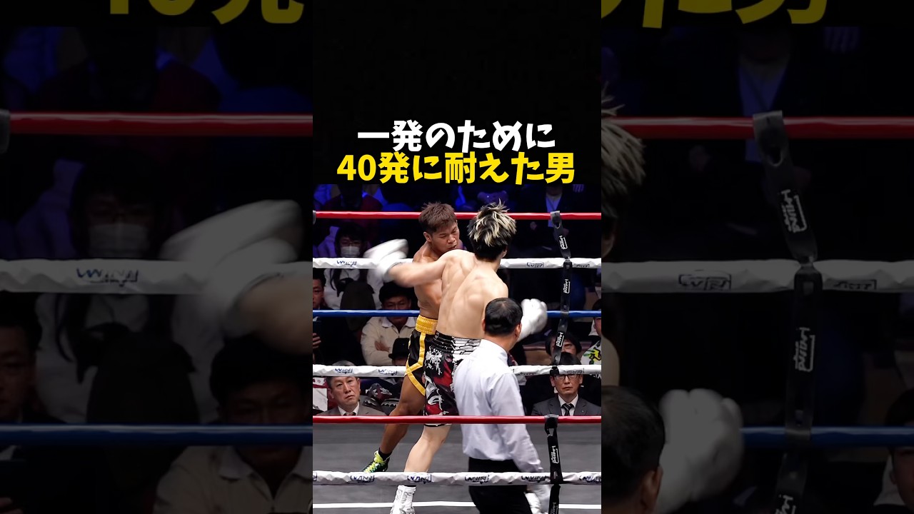 一発のために40発を耐えた男 #ボクシング #格闘技 #boxing