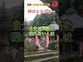 【斎藤一人】神のエネルギー