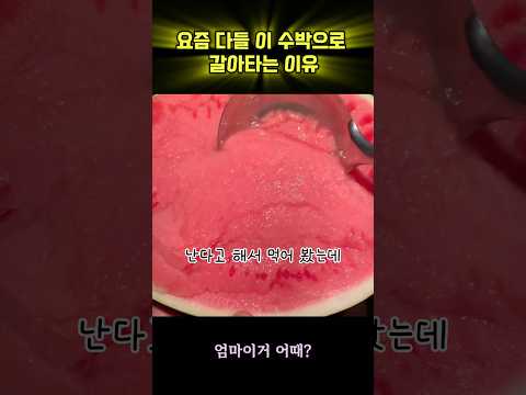 요즘 다들 이 수박으로 갈아타는 이유#수박