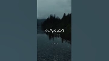 القارئ أحمد الياس