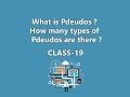 What are Pseudos ? How many types of Pseudos in Css-Class 19
