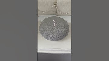 Google Nest Mini no connection