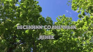 312.  Весенний Солнечный Денёк под Чудесную Музыку Сергея Чекалина!