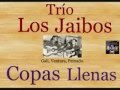 Miniature de la vidéo de la chanson Copas Llenas