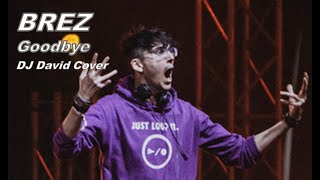 Brez - Goodbye (DJ David Cover) In Loopify