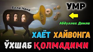 видео: Одамлигини унутиб қўйганлар эшитсин! |Абдуллох Домла |Abdulloh Domla #ilmnuri #abdullohdomla #rek  картинка: Одамлигини унутиб қўйганлар эшитсин! |Абдуллох Домла |Abdulloh Domla #ilmnuri #abdullohdomla #rek
