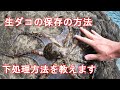 生タコぬめり取り＆保存方法(タコ下ごしらえ、下処理)