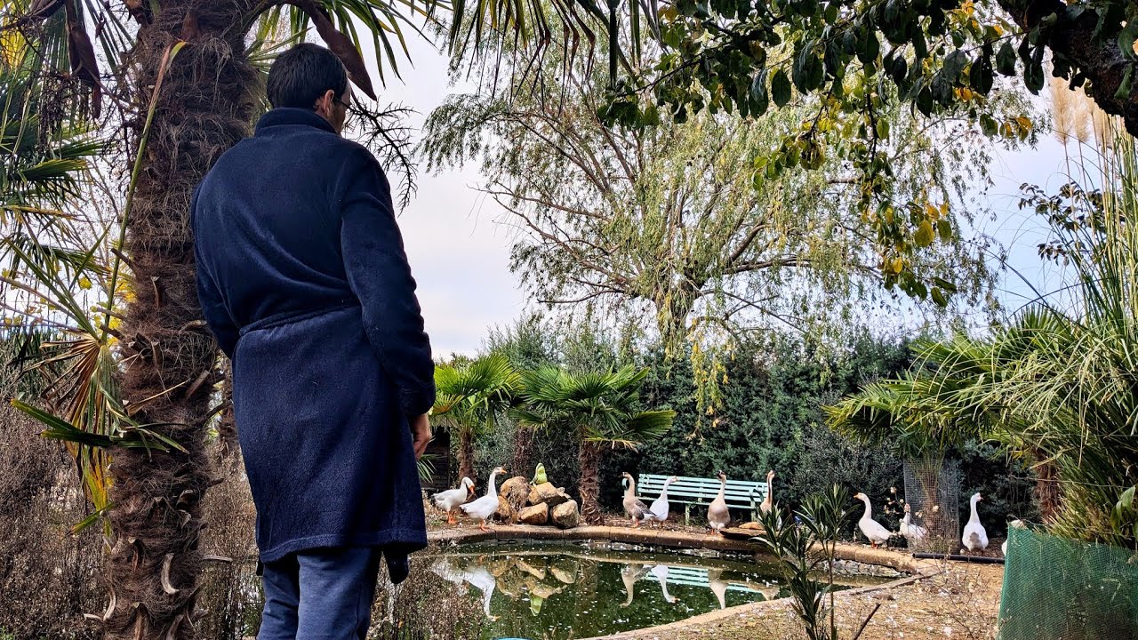 Hoy hace 7 años que dejé Madrid y me vine a vivir al campo.