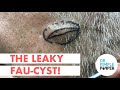 The Leaky Fau-cyst!